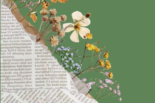 الأدب والروايات